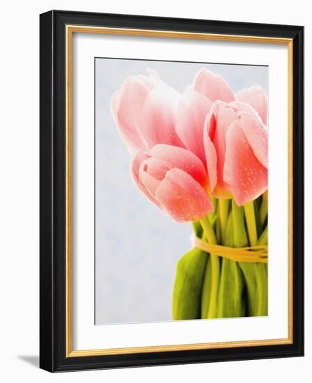 Pink tulips-Ada Summer-Framed Photographic Print