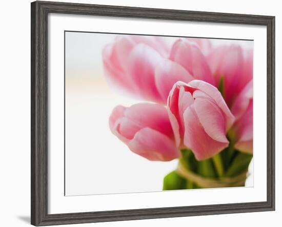 Pink tulips-Ada Summer-Framed Photographic Print