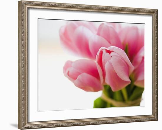 Pink tulips-Ada Summer-Framed Photographic Print