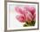 Pink tulips-Ada Summer-Framed Photographic Print