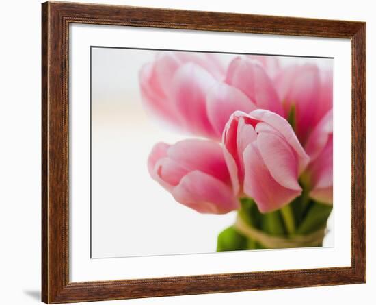 Pink tulips-Ada Summer-Framed Photographic Print