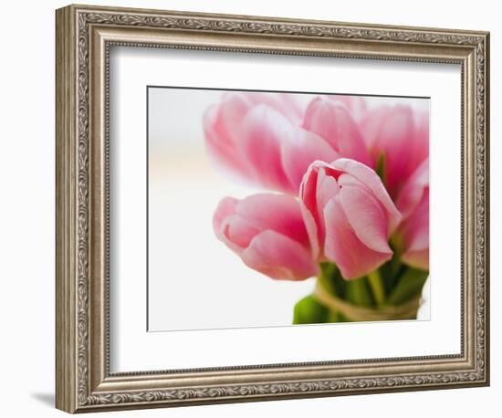 Pink tulips-Ada Summer-Framed Photographic Print