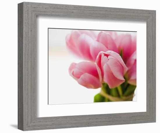 Pink tulips-Ada Summer-Framed Photographic Print