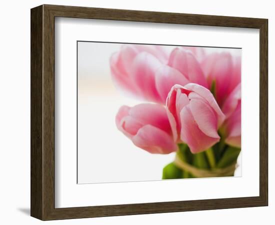 Pink tulips-Ada Summer-Framed Photographic Print