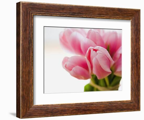 Pink tulips-Ada Summer-Framed Photographic Print