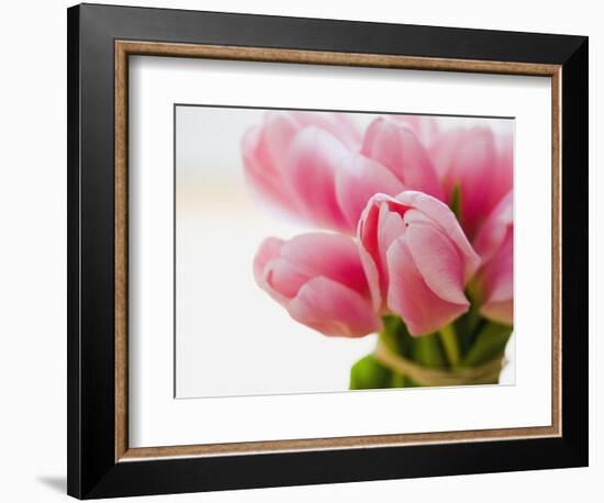 Pink tulips-Ada Summer-Framed Photographic Print