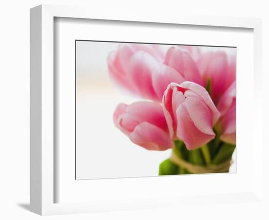 Pink tulips-Ada Summer-Framed Photographic Print