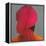 Pink Turban-Lincoln Seligman-Framed Premier Image Canvas