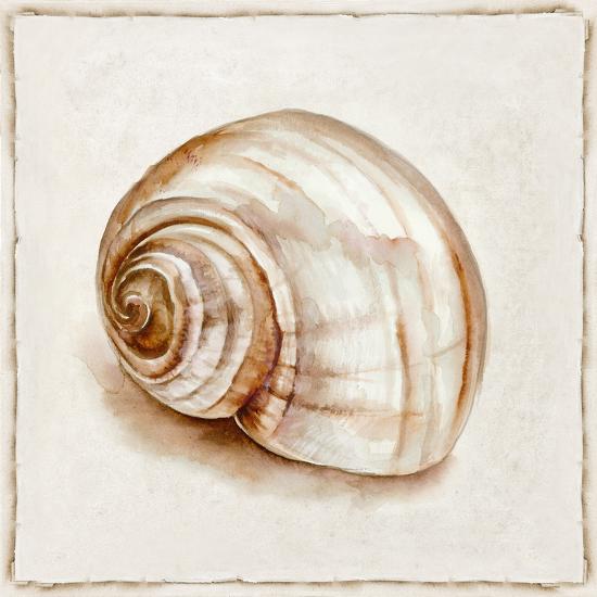 'Pink Vintage Shell II' Art Print - Eli Jones | Art.com