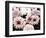 Pink Washed Garden-Emily Navas-Framed Photographic Print