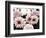 Pink Washed Garden-Emily Navas-Framed Photographic Print