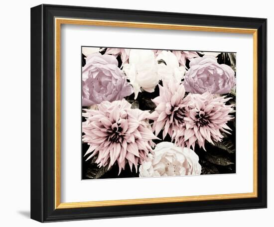 Pink Washed Garden-Emily Navas-Framed Photographic Print