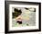 Pink Water Lily, Stanley Park, British Columbia, Canada-Paul Colangelo-Framed Photographic Print