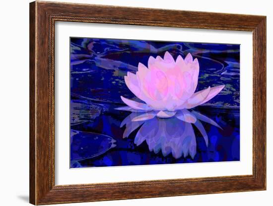 Pink Water Lily-Scott J. Davis-Framed Giclee Print