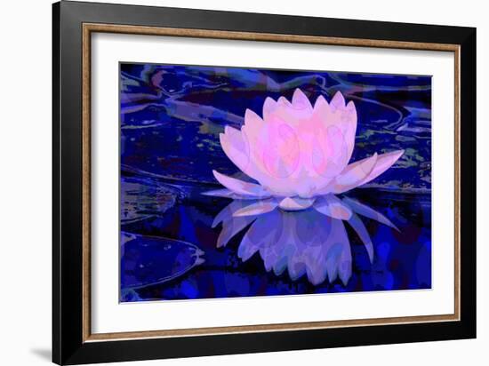 Pink Water Lily-Scott J. Davis-Framed Giclee Print