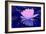 Pink Water Lily-Scott J. Davis-Framed Giclee Print