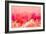 Pink Wave-null-Framed Giclee Print