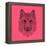 Pink Woolf-Lisa Kroll-Framed Stretched Canvas