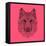 Pink Woolf-Lisa Kroll-Framed Stretched Canvas