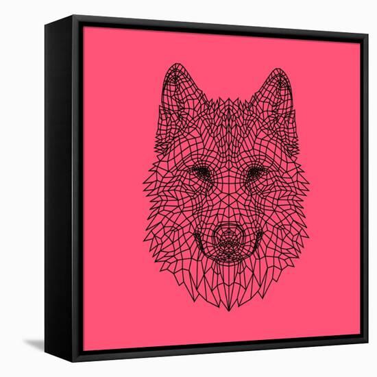 Pink Woolf-Lisa Kroll-Framed Stretched Canvas