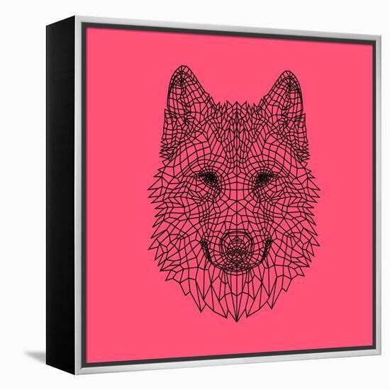 Pink Woolf-Lisa Kroll-Framed Stretched Canvas