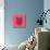 Pink Woolf-Lisa Kroll-Mounted Art Print displayed on a wall