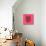 Pink Woolf-Lisa Kroll-Mounted Art Print displayed on a wall