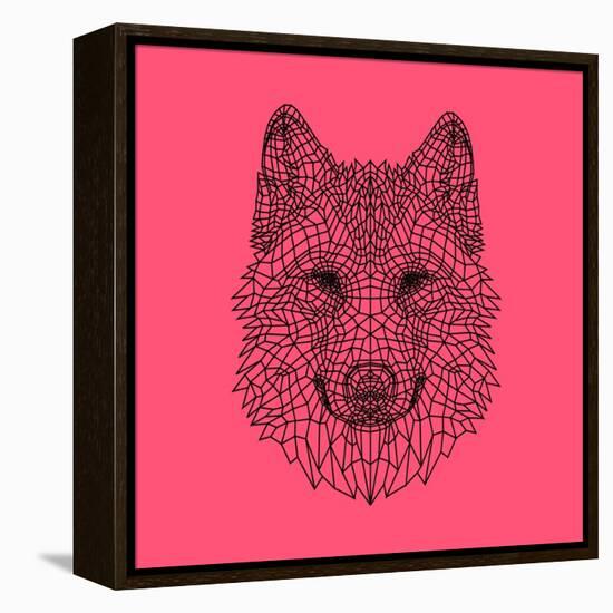 Pink Woolf-Lisa Kroll-Framed Stretched Canvas