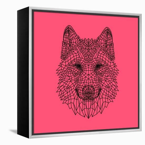 Pink Woolf-Lisa Kroll-Framed Stretched Canvas