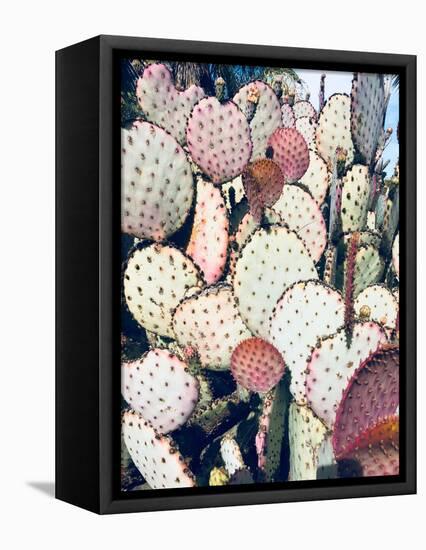 Pink Yellow Cactus IV-Irena Orlov-Framed Premier Image Canvas