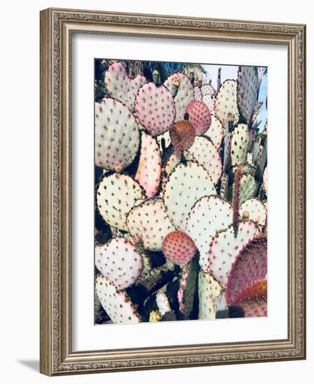 Pink Yellow Cactus IV-Irena Orlov-Framed Photographic Print