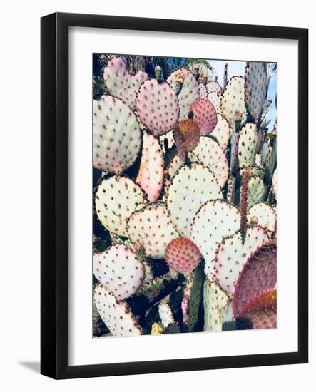 Pink Yellow Cactus IV-Irena Orlov-Framed Photographic Print