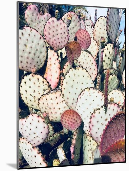 Pink Yellow Cactus IV-Irena Orlov-Mounted Photographic Print