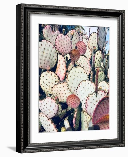 Pink Yellow Cactus IV-Irena Orlov-Framed Photographic Print