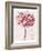 Pink Zinnia I-Christine Zalewski-Framed Art Print