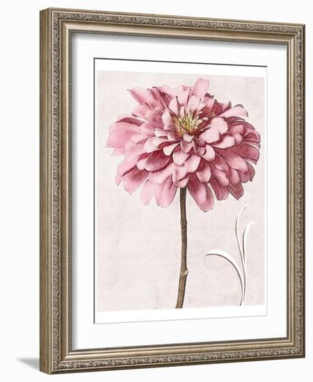 Pink Zinnia I-Christine Zalewski-Framed Art Print