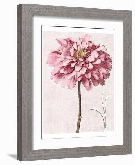 Pink Zinnia I-Christine Zalewski-Framed Art Print