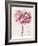 Pink Zinnia I-Christine Zalewski-Framed Art Print