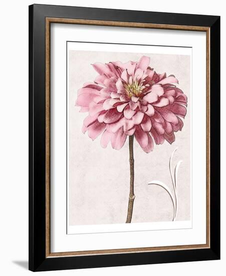 Pink Zinnia I-Christine Zalewski-Framed Art Print