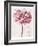 Pink Zinnia I-Christine Zalewski-Framed Art Print