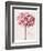 Pink Zinnia I-Christine Zalewski-Framed Art Print