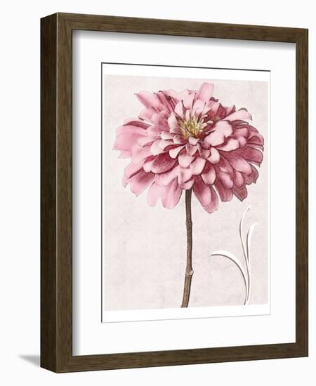 Pink Zinnia I-Christine Zalewski-Framed Art Print