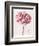 Pink Zinnia I-Christine Zalewski-Framed Art Print