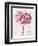 Pink Zinnia I-Christine Zalewski-Framed Art Print