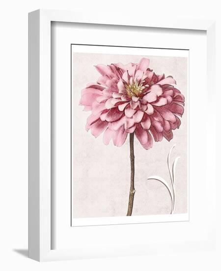 Pink Zinnia I-Christine Zalewski-Framed Art Print