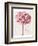 Pink Zinnia I-Christine Zalewski-Framed Art Print