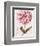 Pink Zinnia II-Christine Zalewski-Framed Premium Giclee Print