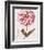 Pink Zinnia II-Christine Zalewski-Framed Premium Giclee Print