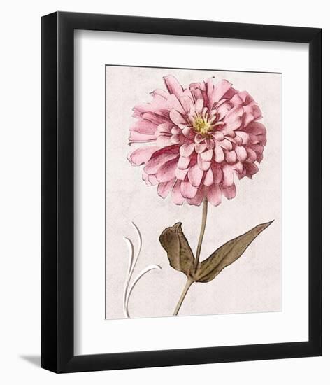 Pink Zinnia II-Christine Zalewski-Framed Premium Giclee Print