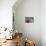Pink zinnia, USA.-Lisa Engelbrecht-Photographic Print displayed on a wall